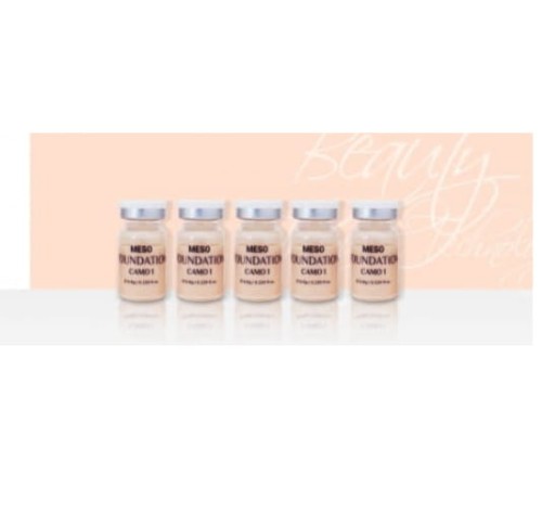 PHYSIOLAB Meso Foundation CAMO