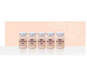 PHYSIOLAB Meso Foundation CAMO 1 - 1x6,8g